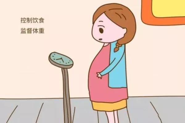 雄性不育系