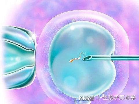 雄性不育系