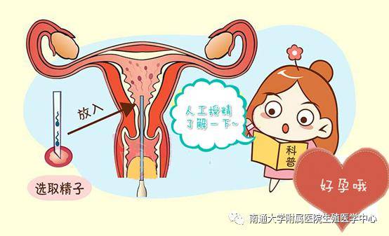 长胎最快的水果