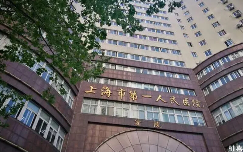 雄性不育系