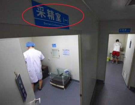 集体大产权房