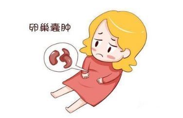 雄性不育系