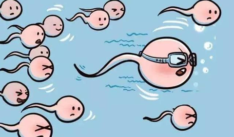 阴超没孕囊查血怀孕了