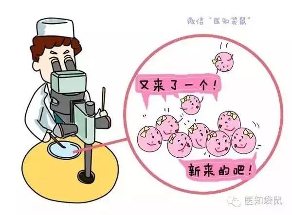 长沙