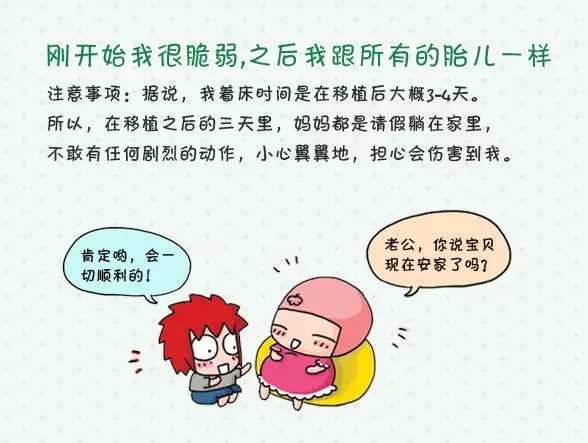顺产全过程正面视频