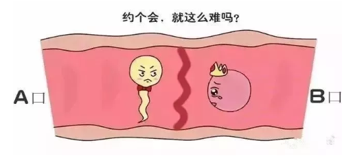 闺蜜