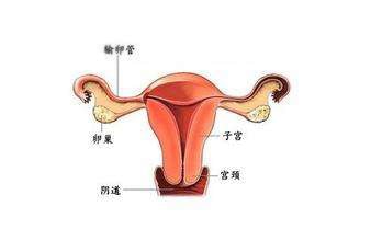 闺女生孩子