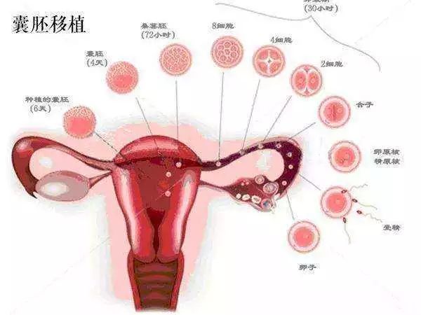 长沙小产假期