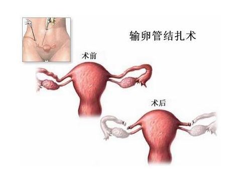 闺女给爹生个闺女