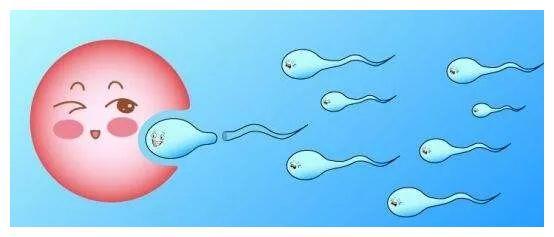 阜阳百佳妇产医院