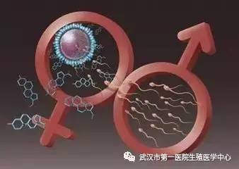 飞行