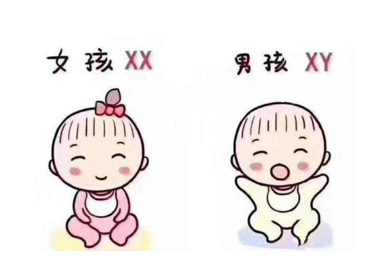 非法终止妊娠