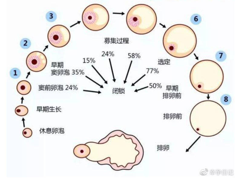 青春期