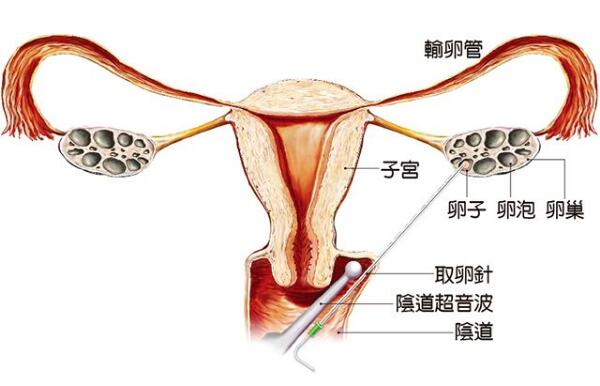 青春期
