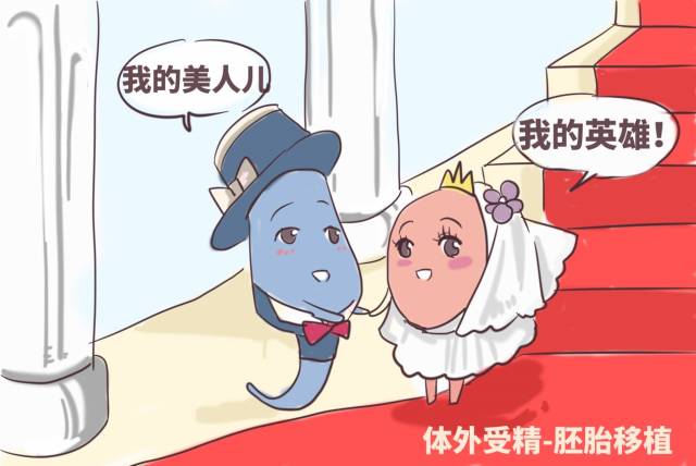 集体产权