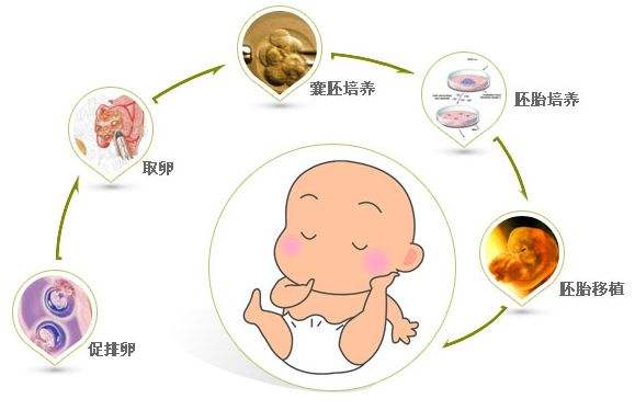 隔代教育