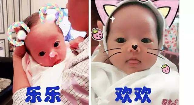 雄性不育系