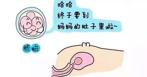 青春期