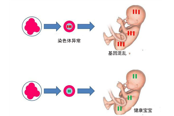 青岛试管婴儿最好的医院