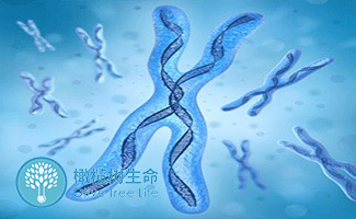 青岛试管婴儿最好的医院